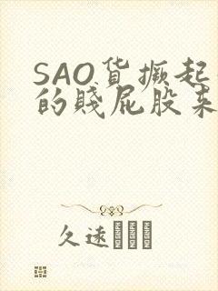 SAO货撅起你的贱屁股来