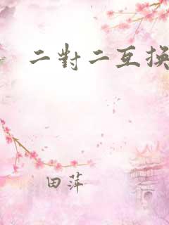 二对二互换共享