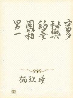 男团的秘密BY一箱养乐多小说
