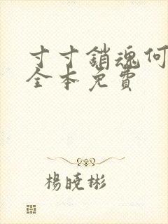 寸寸销魂何生祥全本免费