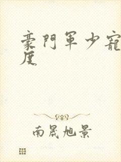 豪门军少宠妻无度