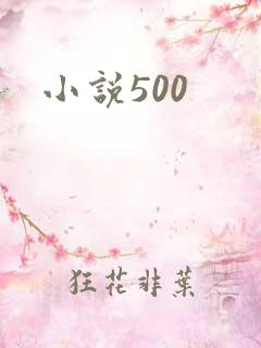 小说500