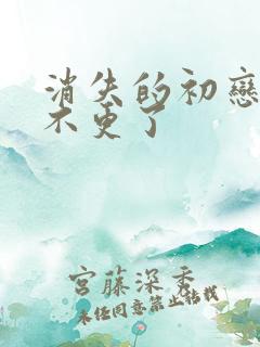 消失的初恋为啥不更了