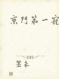 京门第一宠