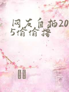 网友自拍2015偷偷撸