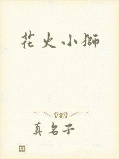 花火小狮