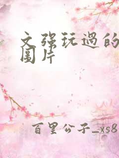 文强玩过的女人图片