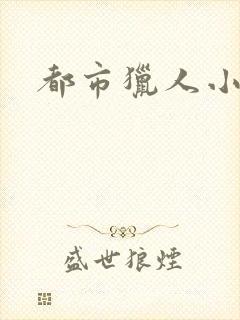 都市猎人小说