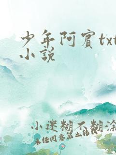 少年阿宾txt小说