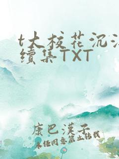 t大校花沉浮录续集TXT