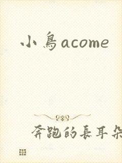 小鸟acome