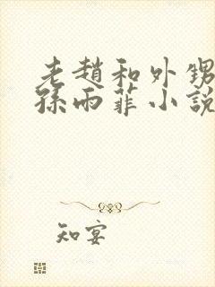 老赵和外甥媳妇孙雨菲小说