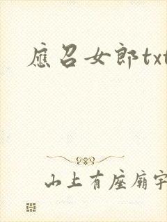 应召女郎txt
