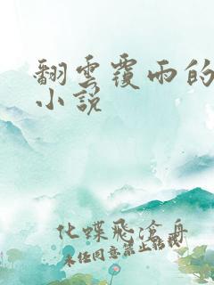 翻云覆雨的秘密小说