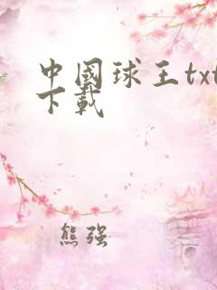 中国球王txt下载