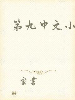 第九中文小说网