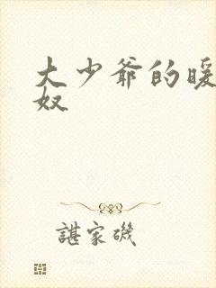 大少爷的暖床小奴