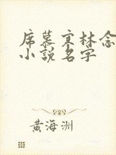 席慕寒林念儿的小说名字