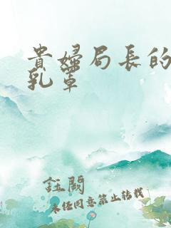 贵妇局长的蕾丝乳罩