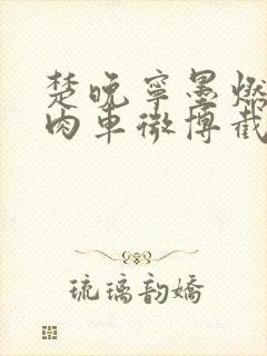 楚晚宁墨燃所有肉车微博截图