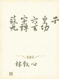 苏宇六皇子签到九转玄功