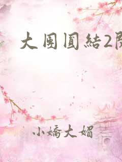 大团圆结2阅读