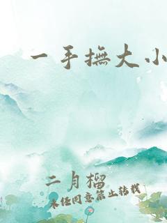 一手抚大小说