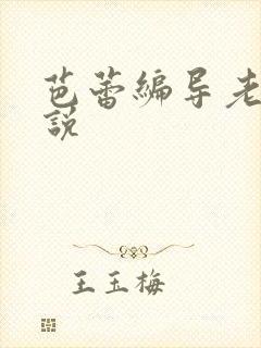 芭蕾编导老师小说