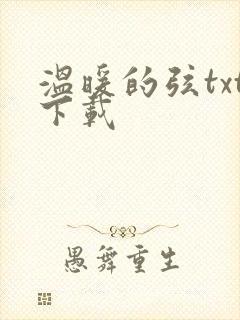 温暖的弦txt下载