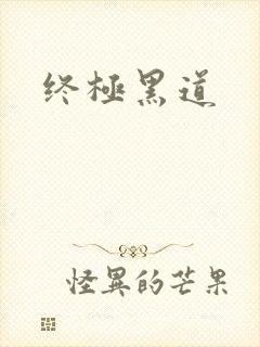 终极黑道
