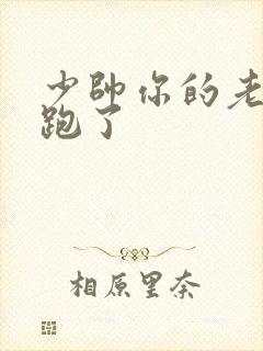 少帅你的老婆又跑了