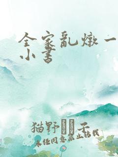 全家乱炖一锅烩小书