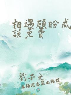 相遇顾盼成欢小说免费