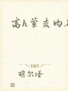高h荤爽肉欲文