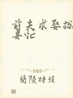 前夫求娶总裁追妻忙