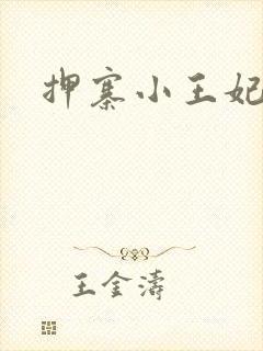 押寨小王妃