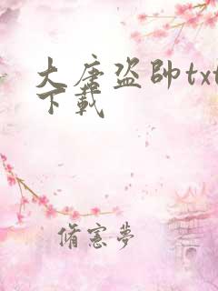 大唐盗帅txt下载