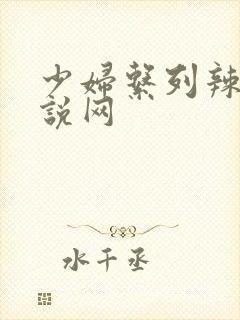 少妇系列辣文小说网