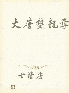 大唐双龙夺艳记