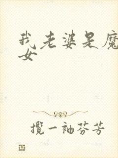 我老婆是魔法少女