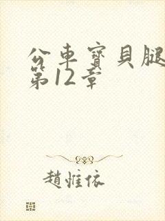 公车宝贝腿开点第12章