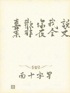 喜欢你我说了算叶非夜全文免费阅读