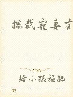 总裁宠妻有点忙