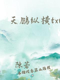 天鹏纵横txt