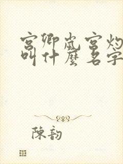 宫卿岚宫灼小说叫什么名字