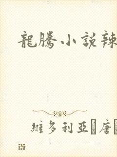 龙腾小说辣文网