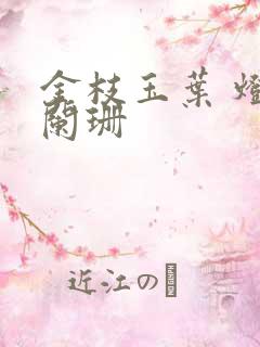 金枝玉叶 灯火阑珊