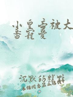 小皇帝被大臣轮番宠爱