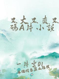 又大又爽又黄无码A片小说