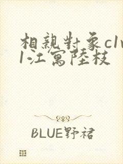 相亲对象c1v1江寓陆枝